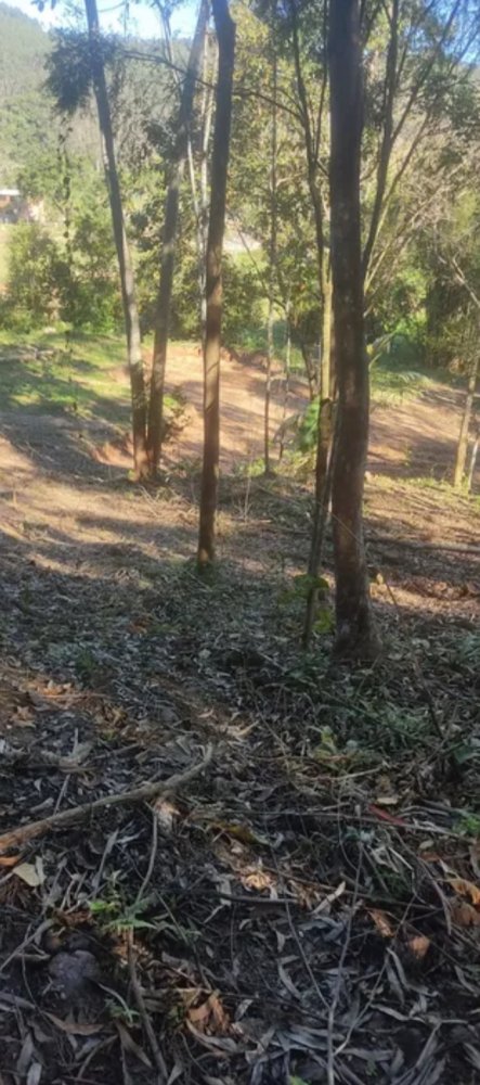 Terreno - Venda - rea Rural de Cambori - Cambori - SC